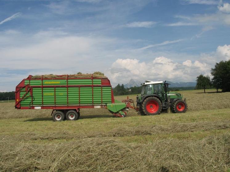 Récolter son sorgho fourrager en ensilage