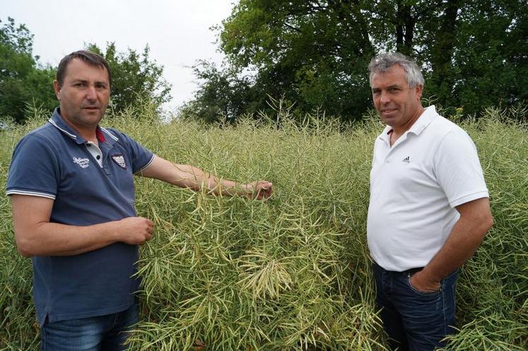 De gauche à droite : Jean-Paul Dupouy, technicien d’Océalia aux côtés de Thierry Marquis, viticulteur et céréalier à Vaux-Rouillac.