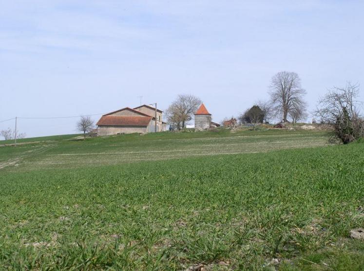 Ferme du sud-Charente entourée de terres agricoles.