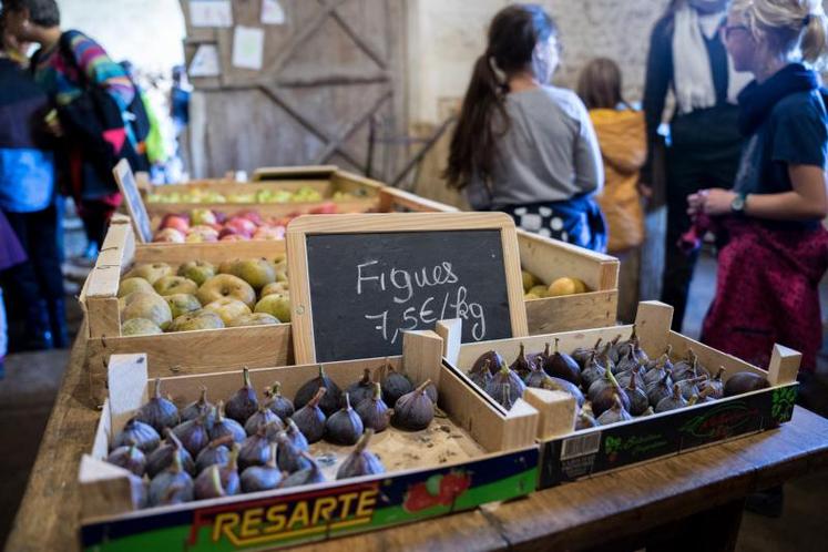 Julien Blaineau a ouvert les portes de sa Petite Ferme, à Mosnac, à des scolaires de Châteauneuf, dans le cadre du projet Jeunes Pousses. Il propose un magasin de vente directe sur son exploitation.