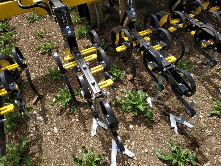 B.C. Technique Phoenix