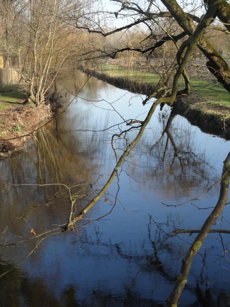 Tout au long de l’été, retrouvez les arrêtés d’irrigation sur le site web de L’Agriculteur Charentais.