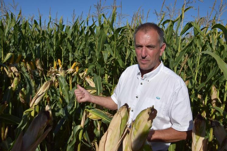 « Les exploitations agricoles en culture sèche n’ont plus les moyens d’investir », prévient le président de la Chambre d’agriculture. (Photo d'archives)