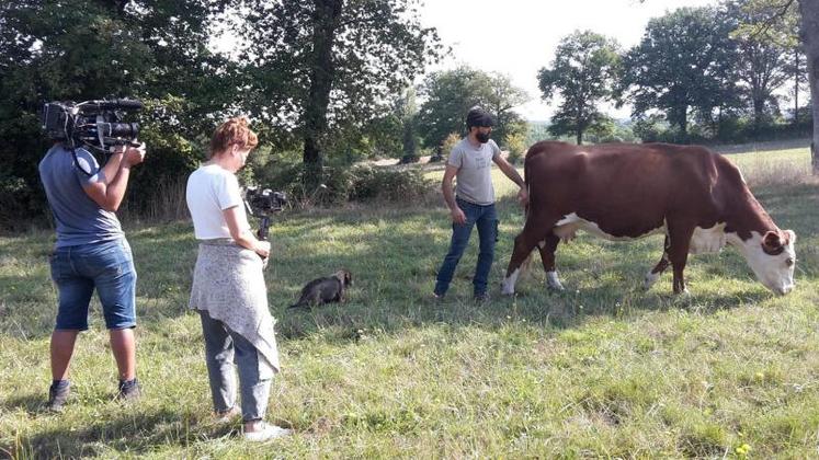 « Pedro » s’est prêté au jeu, fier de mettre en lumière la Charente Limousine.