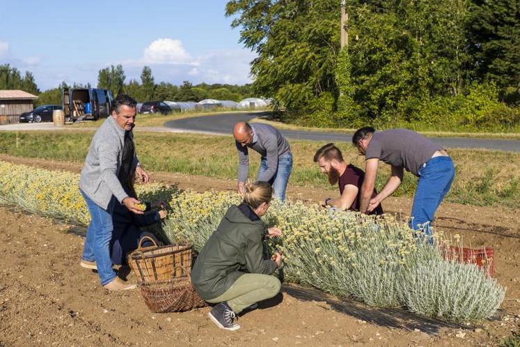 La préservation de l’abeille noire Apis Mellifera Mellifera (d’où est tiré le nom du gin) et celle des côtes va faire partie des premiers projets soutenus par Christophe Amigorena (à gauche).