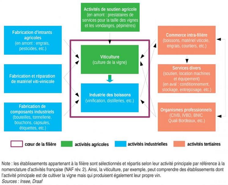 Schéma de la filière viti-vinicole en Nouvelle-Aquitaine, d'après l'INSEE.