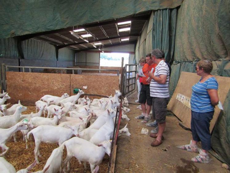 La mise en place d’un rétroplanning a été conseillée au cours de cette rencontre technique. Il doit préciser les périodes de traitement lumineux, la pose des implants IA, les échographies...
