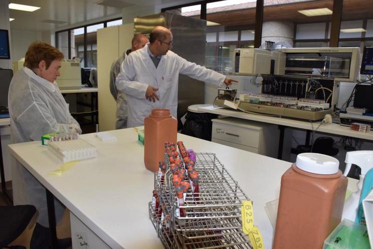 Le Lasat est équipé de matériels permettant d’identifier 
la bactérie responsable de la pathologie d’un animal.