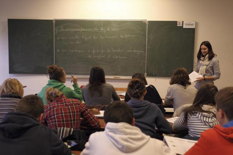 Face à des jeunes plus versatiles, les établissements cherchent à construire un maximum de passerelles entre les différentes formations.