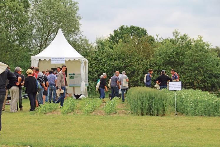 Les Terrenales ont placé l’innovation au cœur des enjeux agricoles de demain.