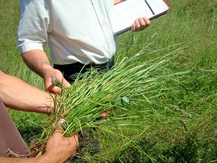 Relever la présence d'espèces dans une poignée et utiliser la fiche diagnostic proposée par le Gnis.