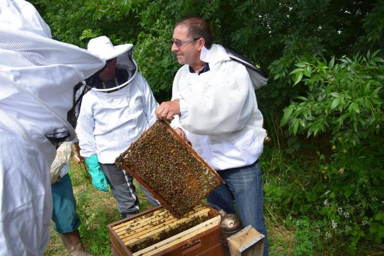 Jean-Marie Chaleix, viticulteur et apiculteur
