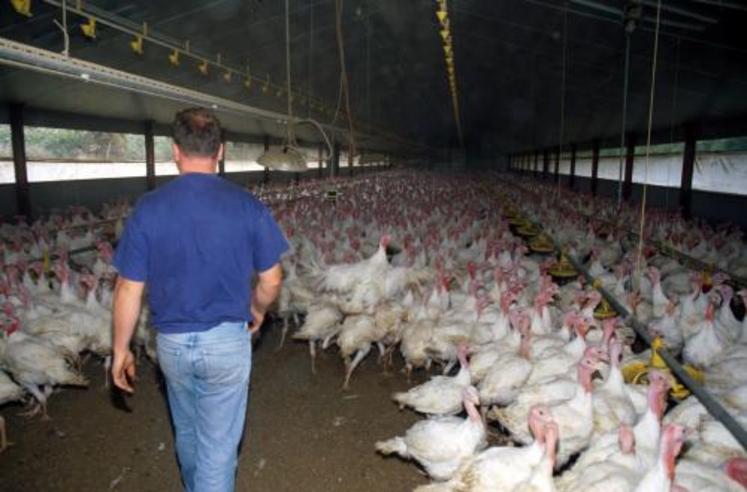 La FDSEA et les JA appellent les éleveurs à se mobiliser mercredi 7 mai.