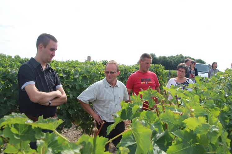 Stéphane Fleury (au centre) a expliqué les travaux de la vigne aux demandeurs d’emploi présents.