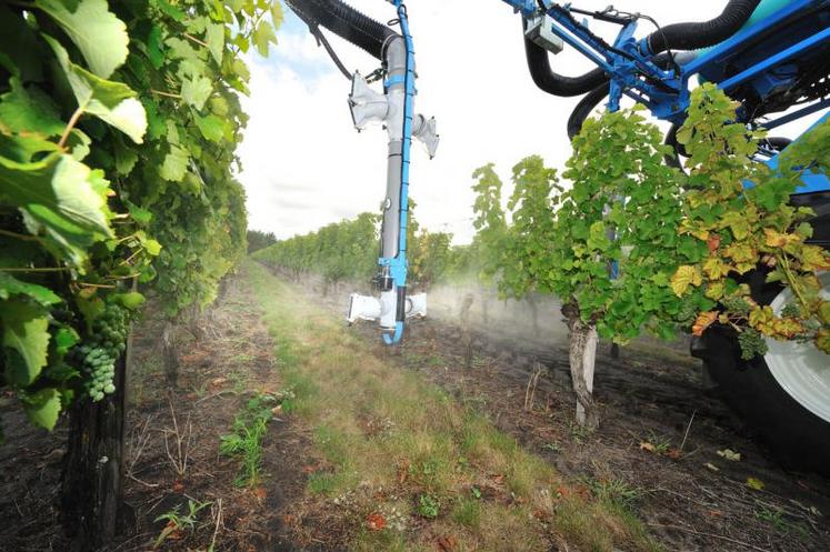 L’Inra s’est penché sur le concept de «pyramidage des gènes de résistance» pour lutter contre l’oïdium et le mildiou. 