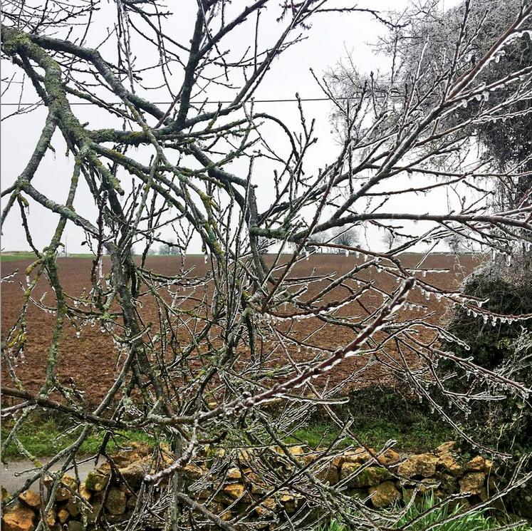 Intempéries, givre, Deux-Sèvres