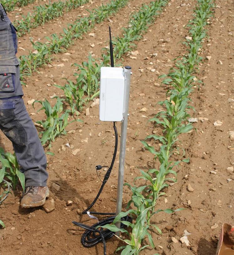 Les sondes de 60 cm sont composées d’un chapelet de condensateurs qui mesurent de façon immédiate et en continu l’humidité du sol avec 6 capteurs répartis tous les 10 cm dans la sonde.