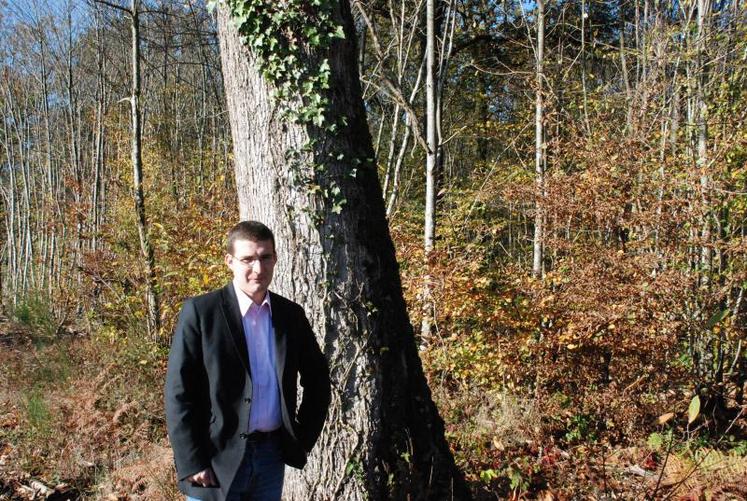 Laurent Gilgenbrantz a hérité de la forêt de ses grands parents il y a dix ans.