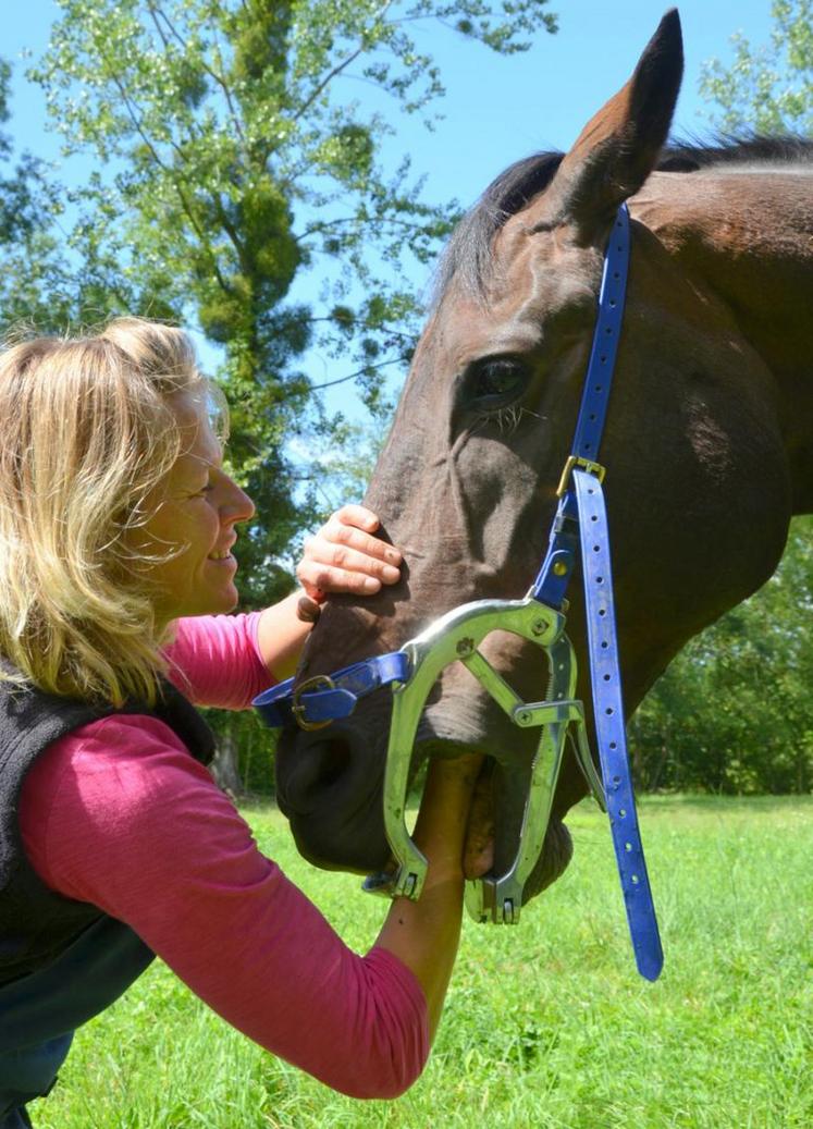 Elodie Stuit s’aide d’un ouvre bouche pour tenir la bouche de l’animal ouverte durant son intervention.