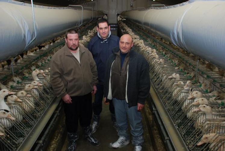 Samuel Huvelin, ancien maçon, Didier Gabard et Philippe Sanchez, précédemment salariés chez Fleury Michon sont aujourd’hui à leur compte. L’astreinte quotidienne imposée par le gavage des canards est un inconvénient dont se satisfont les associés ravis de gérer leur propre entreprise.