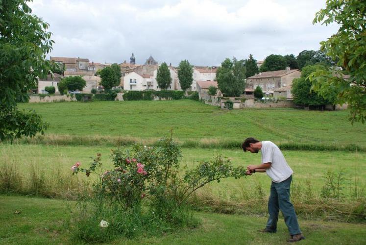 Pierre Jozelon invite le public à observer les arbres et arbustes avant de lire les panneaux.