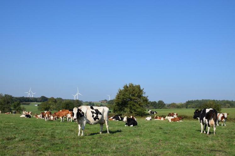 En 2018, la production laitière a baissé, du fait de la sécheresse, mais les prix ont progressé dans le même temps, profitant notamment de la baisse des stocks d’intervention de poudre.