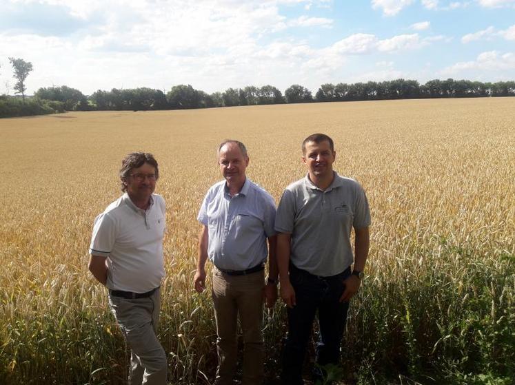 Guy Talineau, administrateur de la fédération des chasseurs, Jean-Marc Renaudeau, président de la chambre d’agriculture des Deux-Sèvres, et Frédéric Audurier, technicien de la fédération de la chasse, devant une parcelle de blé qui pourrait devenir une future chaume de céréales maintenue.