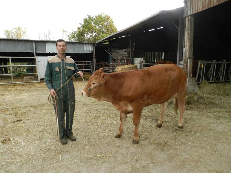 Luc souhaite développer l’engraissement et monter jusqu’à 
60 ou 70 vêlages.