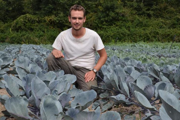 La production de légumes d’été a été difficile cette année. Dimitri Venant-Hermouet est en revanche plein d’espoir pour la production de légumes d’hiver.