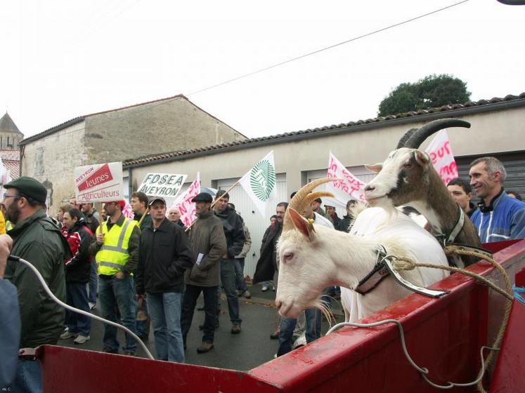 Une forte mobilisation des éleveurs de chèvres, ce mardi à Surgères. 