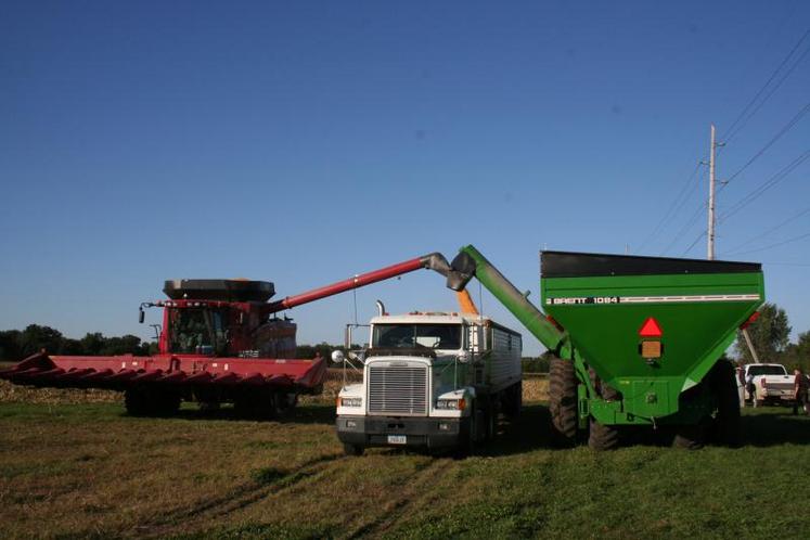 Les Etats-Unis, c’est 983,1 Mha, dont 914,4 Mha de terres, dont 405,4 Mha de terres agricoles et 309,5 Mha de forêts.