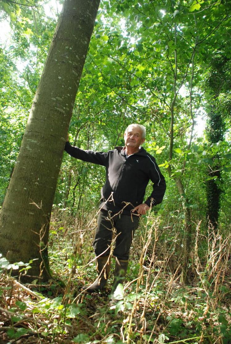 « Dans certains bois, les populations s'appauvrissent. Les chênes adultes coupés, la relève a du mal à s'installer. En 
suivant le cycle du Fogefor, c'est aussi des explications 
et des solutions que je suis allé chercher », explique Guy Fichet.