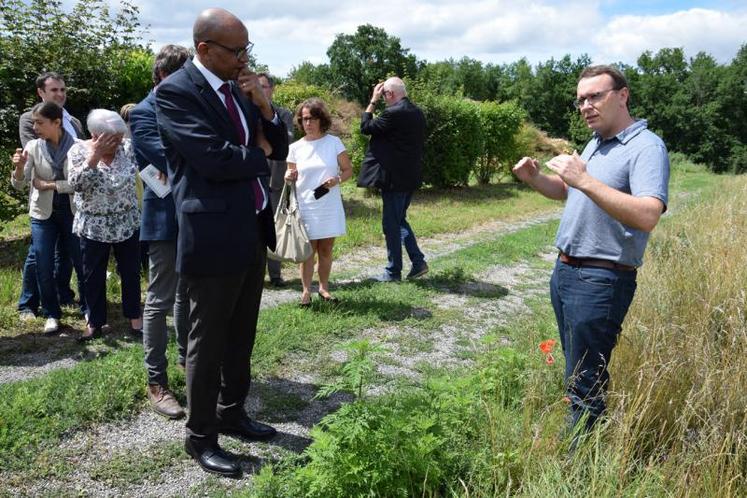 Le préfet, Pierre N’Gahane, a visité une parcelle envahie par l’ambroisie, le 3 juillet à Mouthiers-sur-Boëme