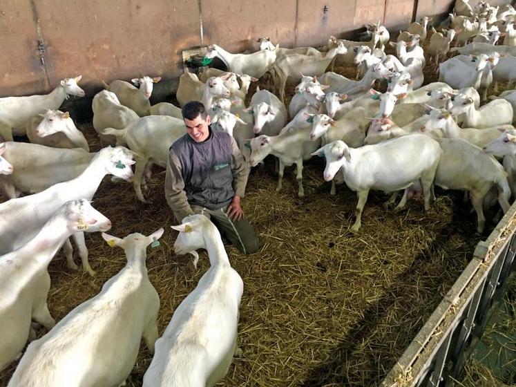 Henri Bonneau est l’un des quatre associés du Gaec La Fontaine, une exploitation de polyculture élevage située à Mougon-Thorigné.