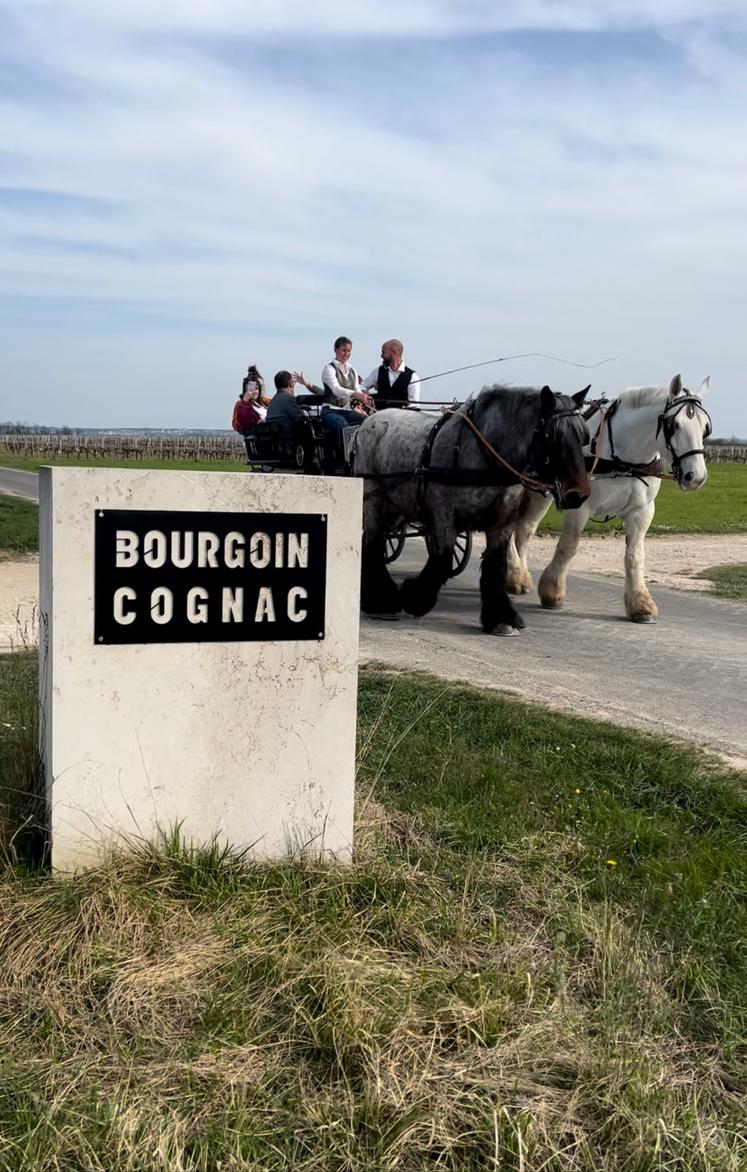 « On a beau avoir un savoir-faire, si on ne le fait pas savoir, on périclite très vite », résume Frédéric Bourgoin, producteur de pineau à Saint-Saturnin.