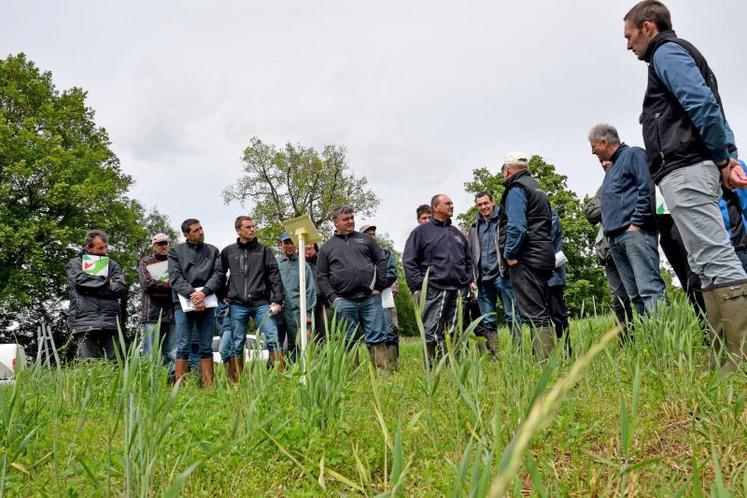 La journée multi-espèces était organisée par la chambre d’agriculture avec le concours de Jouffray-Drillaud, Caveb, Saperfel, EPTB Sèvre nantaise.