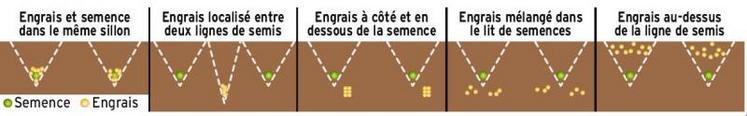 Selon les machines et l'interrang, l'engrais peut être placé à cinq positions différentes par rapport à la semence.