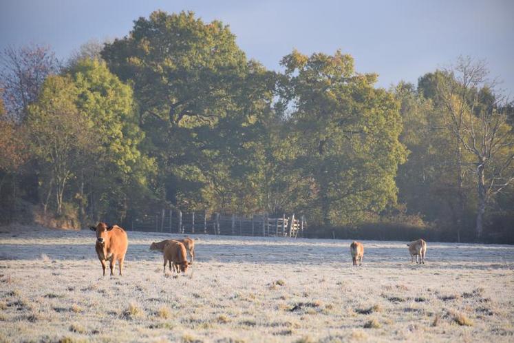 L’ICHN est perçu actuellement par 1 250 fermes deux-sévrienne, soit un montant moyen de 5 500 euros par exploitation.