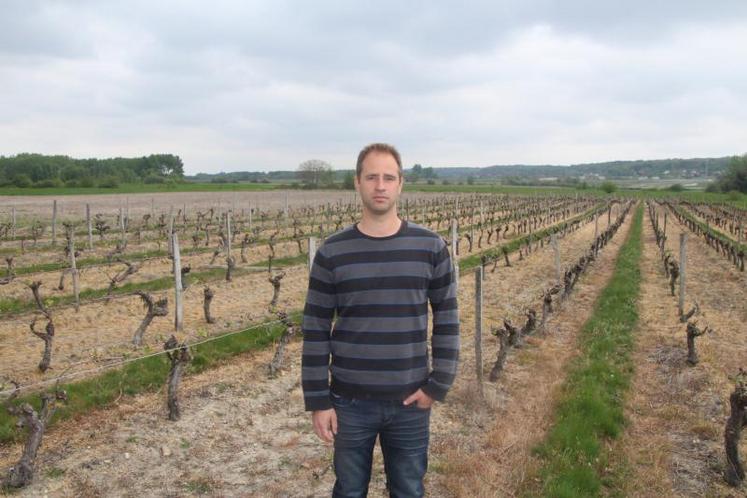 Michael Baudon envisage de déplacer ses vignes de Gamay vers des secteurs moins sensibles aux épisodes de gel.