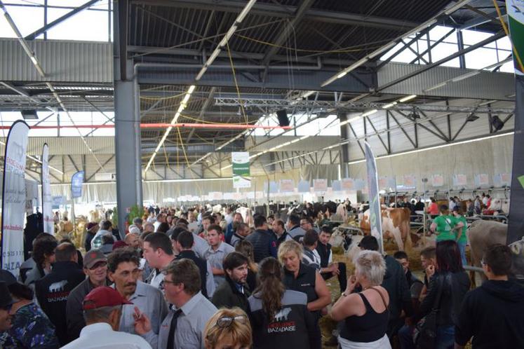 Professionnels et/ou grand public, Aquitanima parvient à séduire. deux publics pendant ses concours et autres présentations.