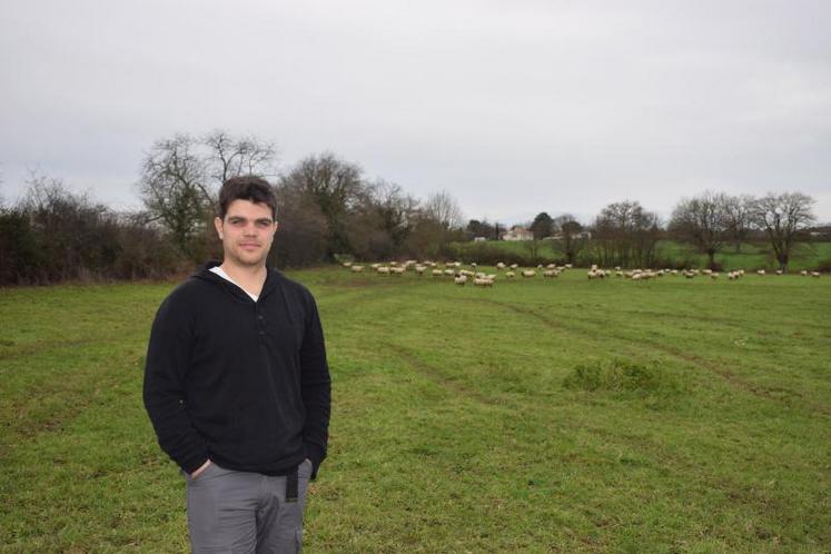 Mathieu envisage de tester les couverts relais, une technique suisse qui consiste à planter deux catégories de plantes dans le couvert en un seul semis afin d’avoir des espèces capables de continuer leur croissance pendant la saison hivernale suite au pâturage d’automne.