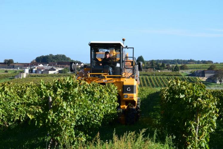 Une petite récolte en Charente pour 2016