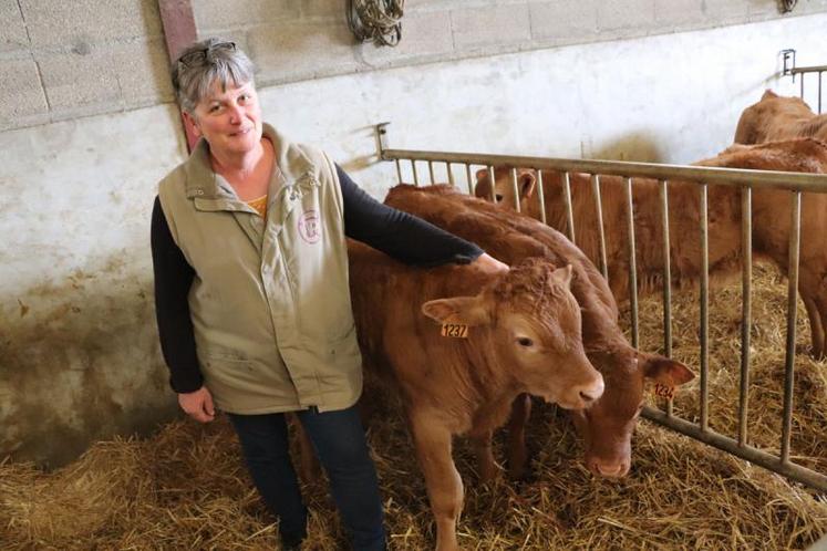 Le veau de Chalais demande un soin particulier dans son alimentation.