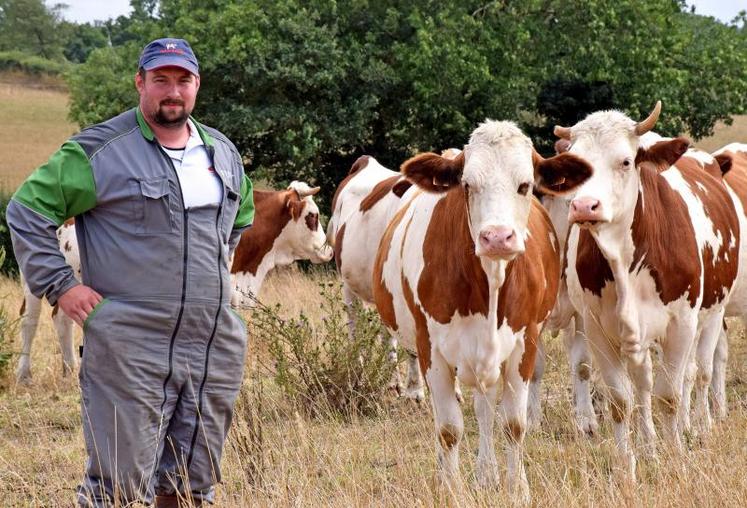 Thibaud évalue à 250 litres la perte de production sur juin et juillet. Payés 440 € les 1000 litres, les exploitants devront se passer de quelque 6600 € sur la paie du lait.