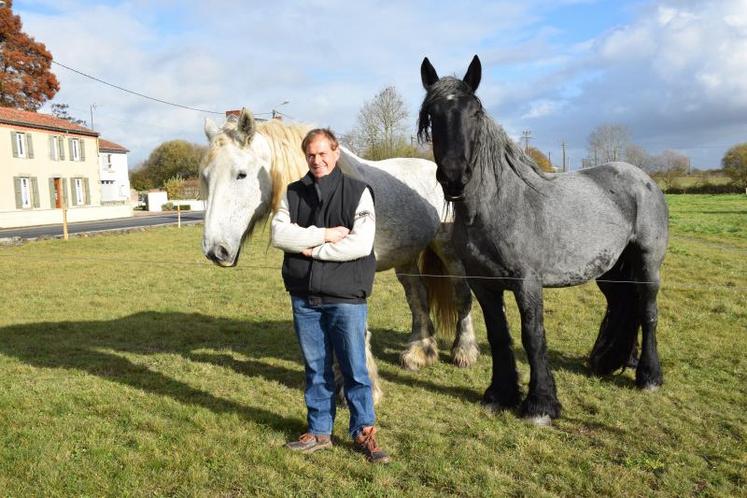 Brune du Briand (en blanc) et Daloée des Tameries (en noir) entretiennent une parcelle de moins d’un hectare sur le canton de Mauléon.