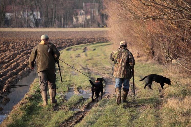 Pour Guy Guédon, le travail entre chasseurs et agriculteurs est très important pour le développement de la biodiversité. « Les choses vont dans le bon sens », assure-t-il.