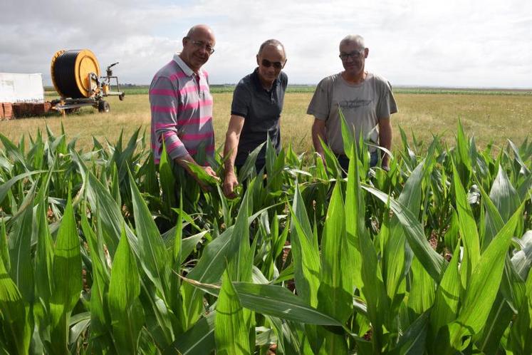 Dominique Rousseau, Joël Nerbusson Benoît Guérin devant un enrouleur à l’arrêt. Sans irrigation, graines potagères, maïs ensilage et maïs semence sont condamnées.