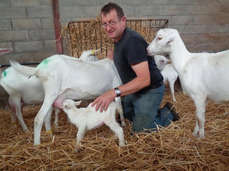 Alain Bordage et son épouse Sylvie suivent particulièrement les chevreaux juste nés en cette période de mises bas de l’automne.