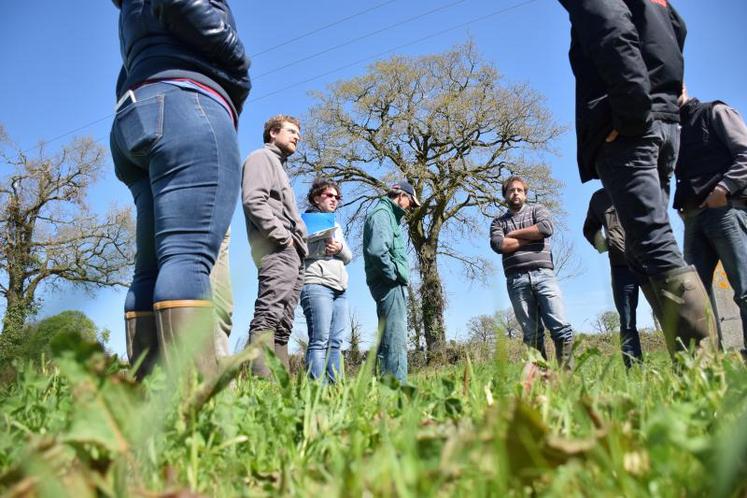 Les Jeudis de l’herbe se sont arrêtés chez les exploitants du Gaec la Tartaille à Beaulieu-sous-Parthenay, « convaincus de l’intérêt à produire de l’herbe car c’est une base alimentaire peu coûteuse et intéressante sur le plan alimentaire».
