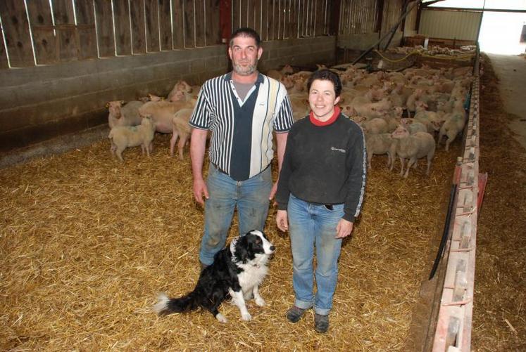 « C’est la productivité pondérale, soit les kilos d’agneaux commercialisés à la brebis, qui fait la marge de l’atelier », attestent Guy-Gérard Merlande et sa femme Alexandra.